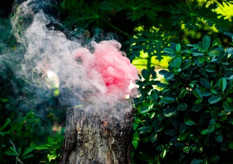 gender reveal, waktu terbaik gender reveal, usia kehamilan 20 minggu, ide gender reveal, cupcake gender reveal, balon gender reveal, smoke bomb, Bunda, si Kecil